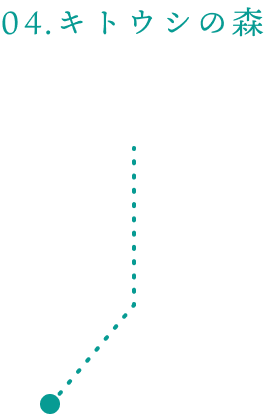 05.キトウシの森