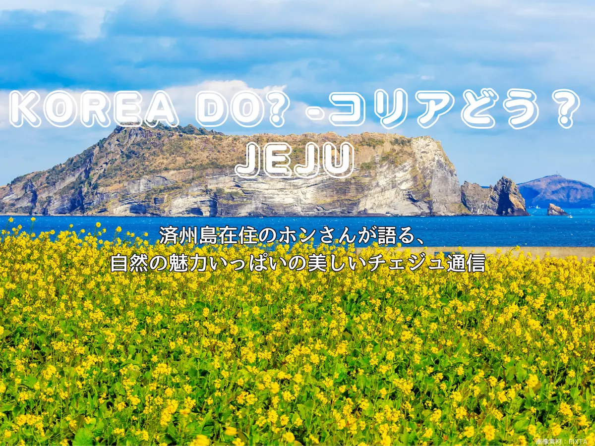 連載VOL.31】KOREA DO?済州編【真っ白な雪の世界、冬の漢拏山