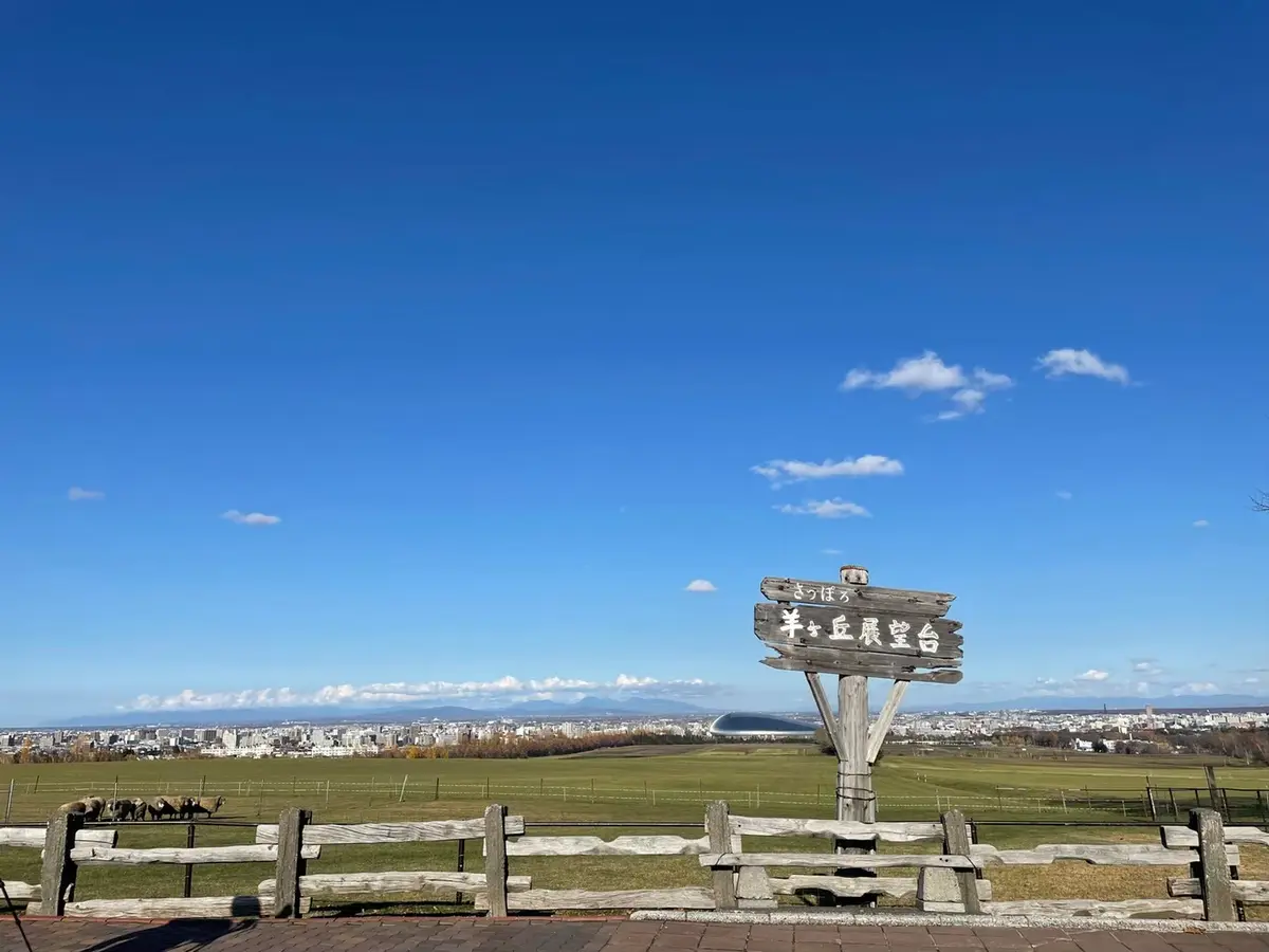 【2025年7月~8月】夏の札幌も魅力たっぷり!旅行で行きたい観光スポット10選