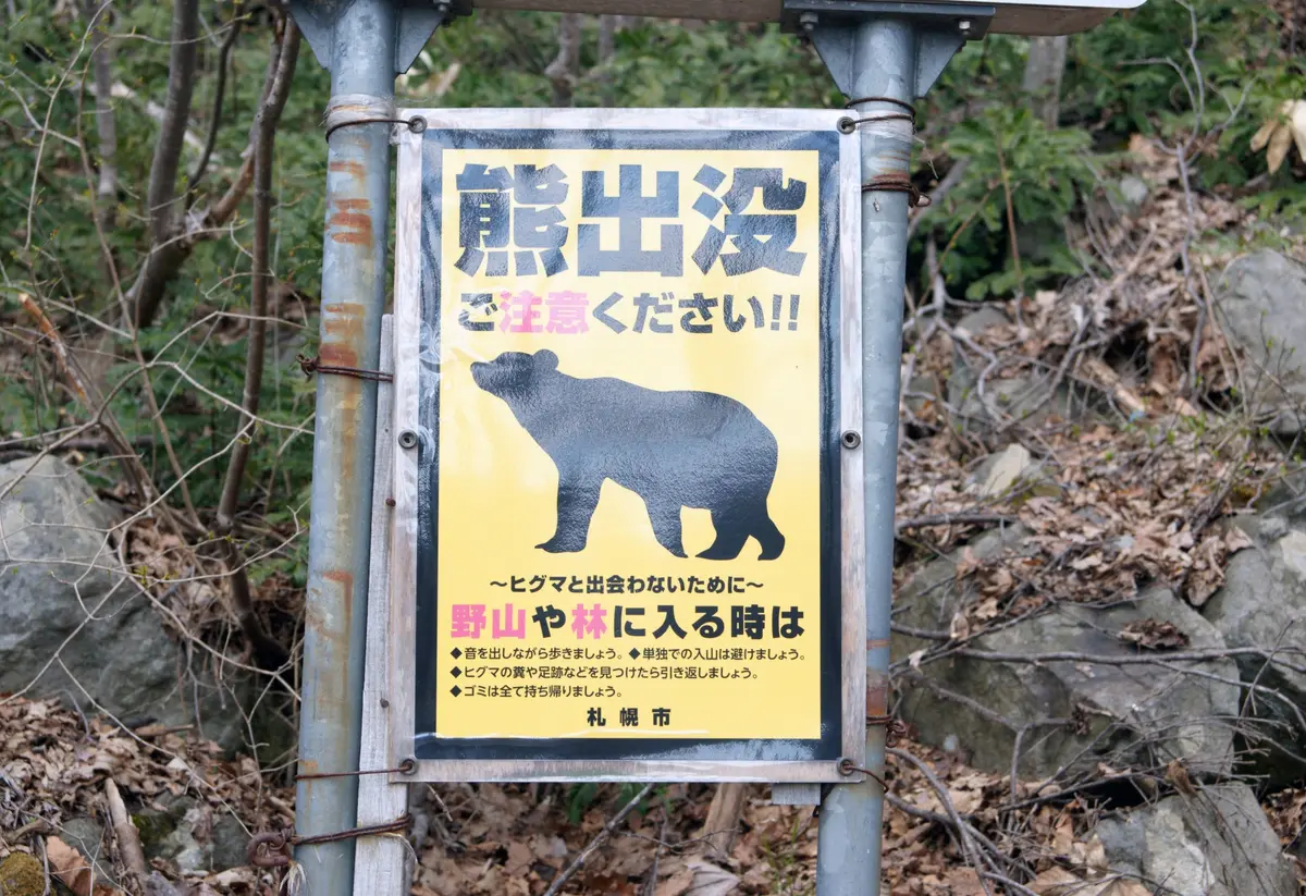 北海道で急増中⚠ヒグマに襲われないために