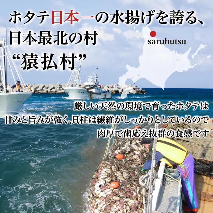 猿払村『北海道猿払産 冷凍ホタテ貝柱 500g(20~25玉)』