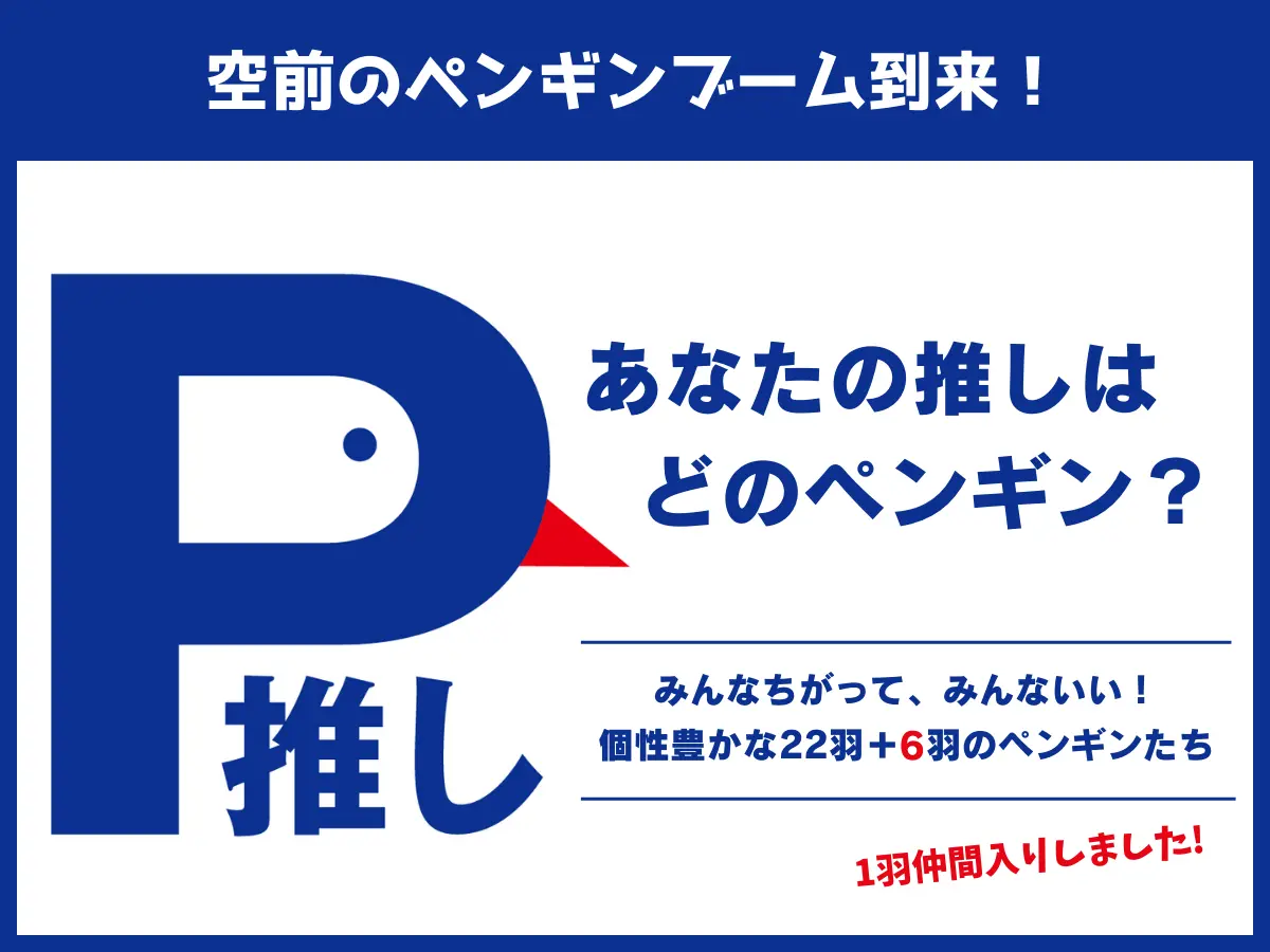 あなたの推しはどのペンギン？AOAO SAPPOROの個性豊かなペンギンの名前
