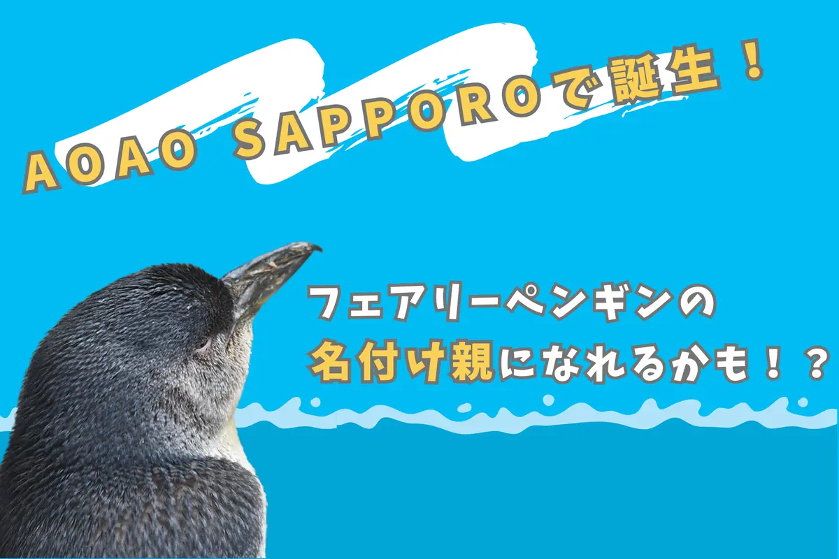 AOAO SAPPOROで誕生したペンギンの名付け親になれるかも!?