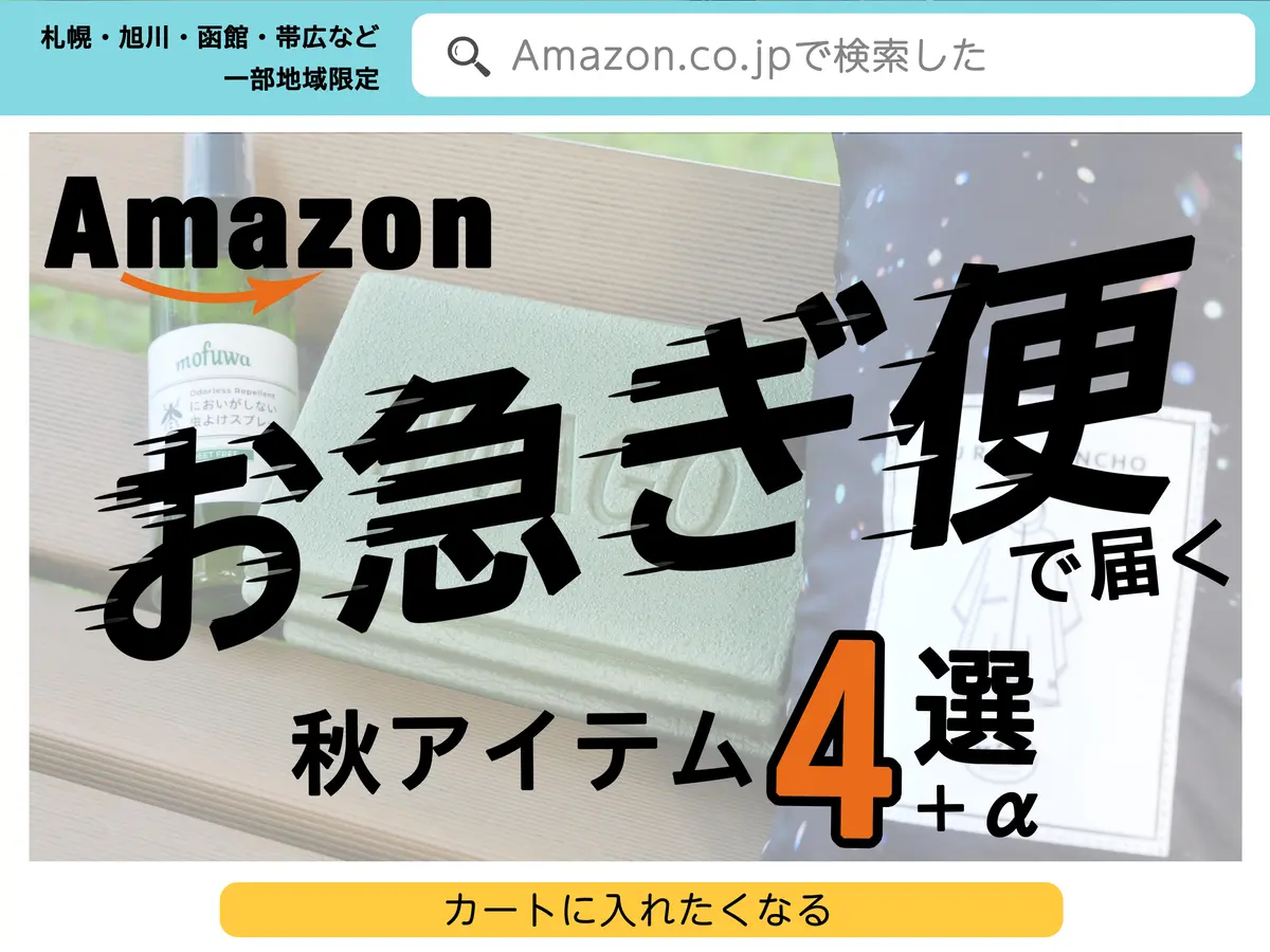 【北海道の一部限定】Amazonのお急ぎ便(当日・翌日配送)で買った、秋に使えそうなアイテム5つを勝手に紹介する