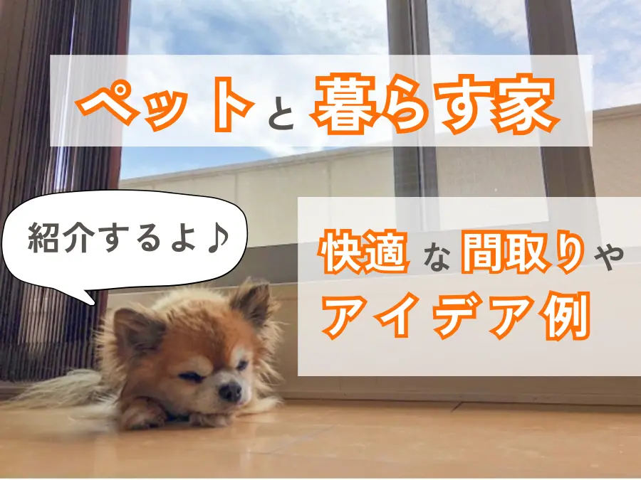 ペットと暮らす家づくりのポイントとは?快適な間取りやアイデア例を紹介