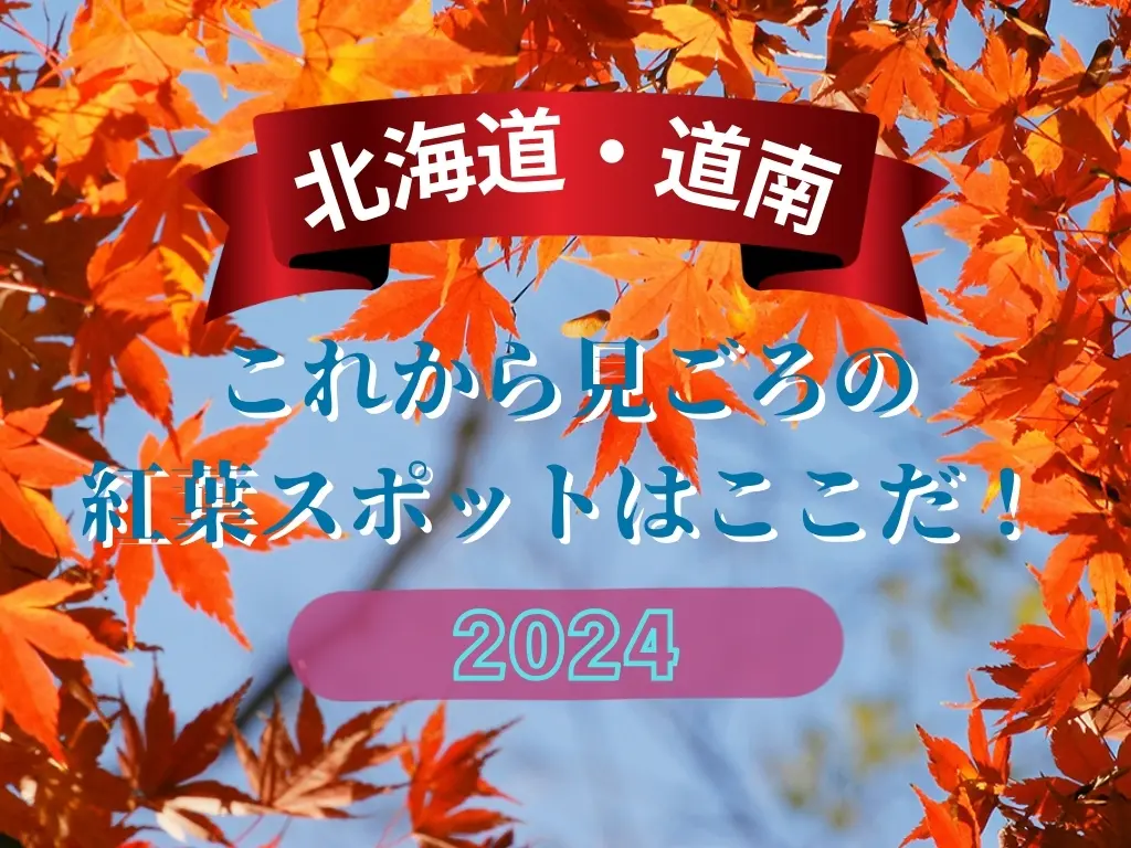 【道南】北海道 これから見ごろの紅葉スポットはここだ！2024