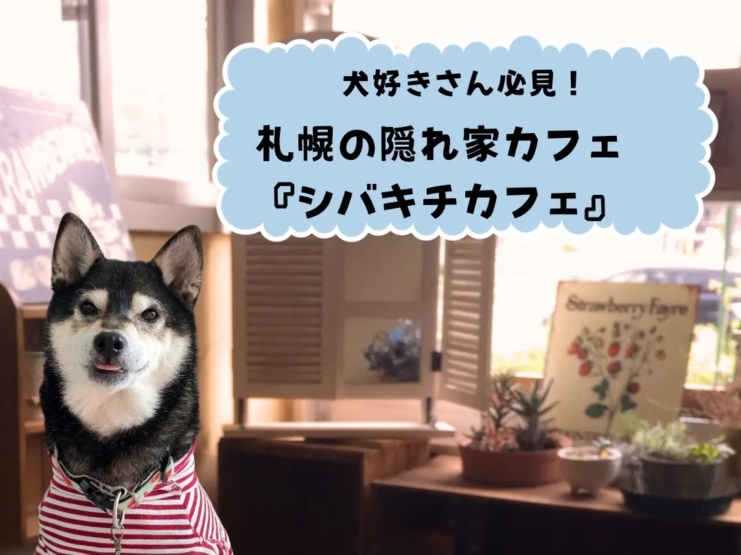 ワンちゃんと一緒にランチ&カフェ!札幌の癒しスポット『シバキチカフェ』