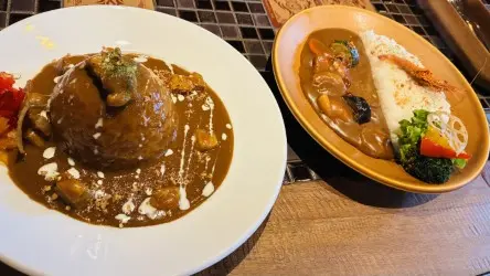 【札幌】エビの風味がクセになる!円山のカレー専門店