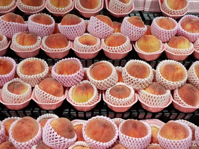 桃の季節限定!札幌で味わう桃スイーツのおすすめ店3選