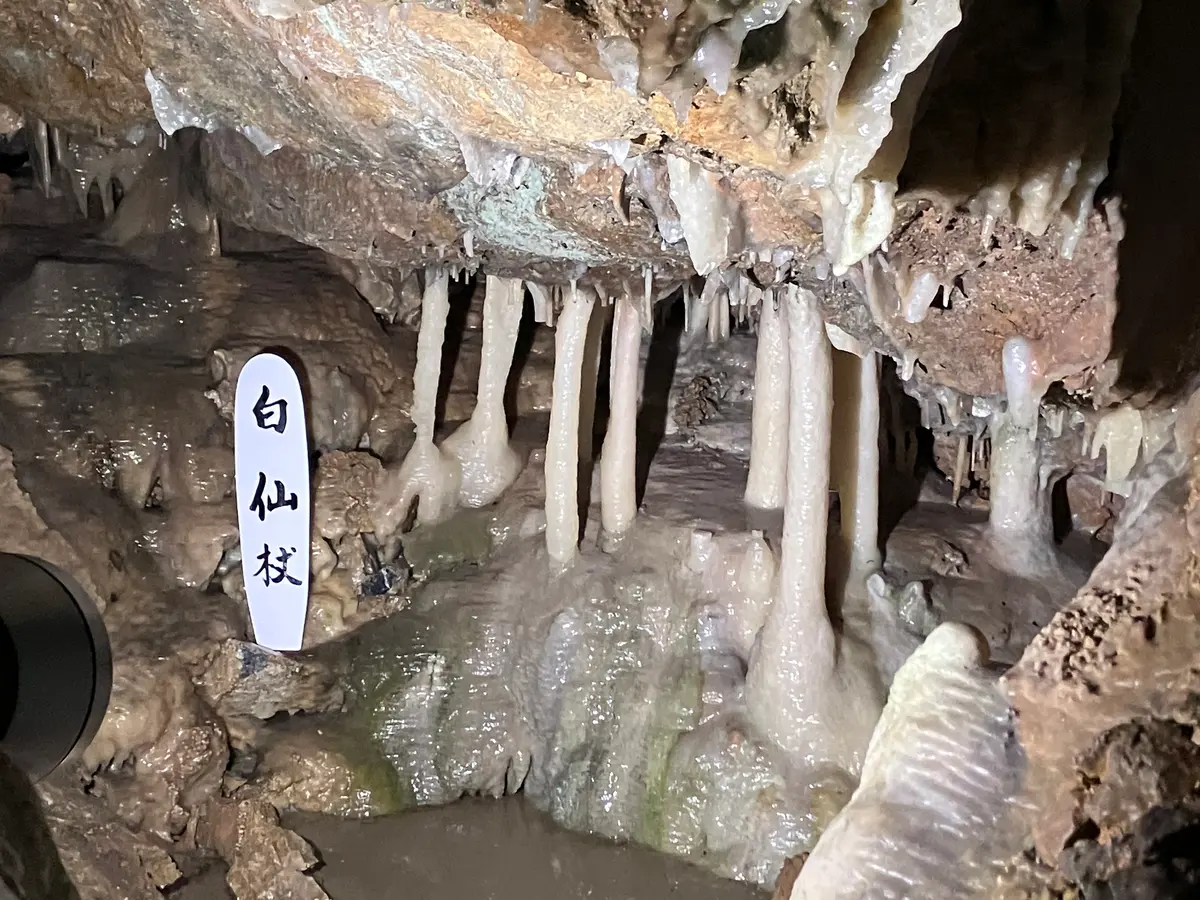 【当麻町】暑い夏は「当麻鍾乳洞」で冷え冷え〈ナイトツアー予約受付中〉