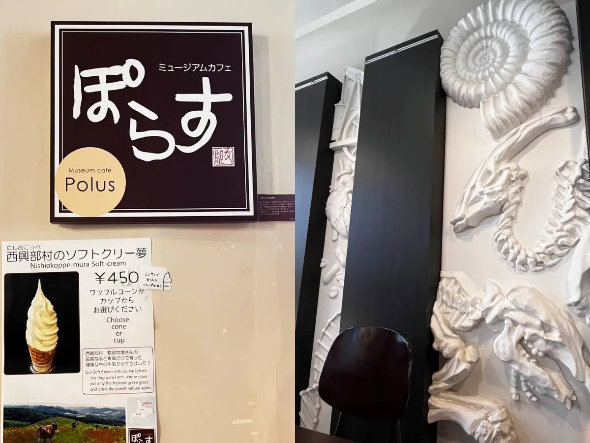 北大総合博物館のミュージアムカフェ「ぽらす」でちょっと一息