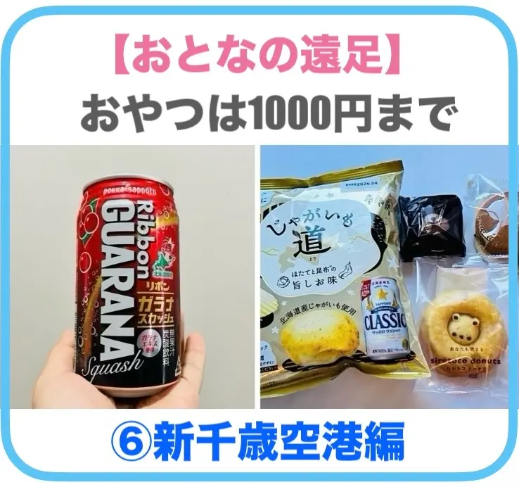 【おとなの遠足】⑥新千歳空港編|おやつは1000円まで