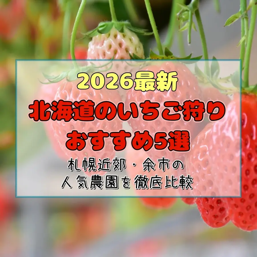 【2026最新】北海道のいちご狩りおすすめ5選！札幌近郊・余市の人気農園を徹底比較