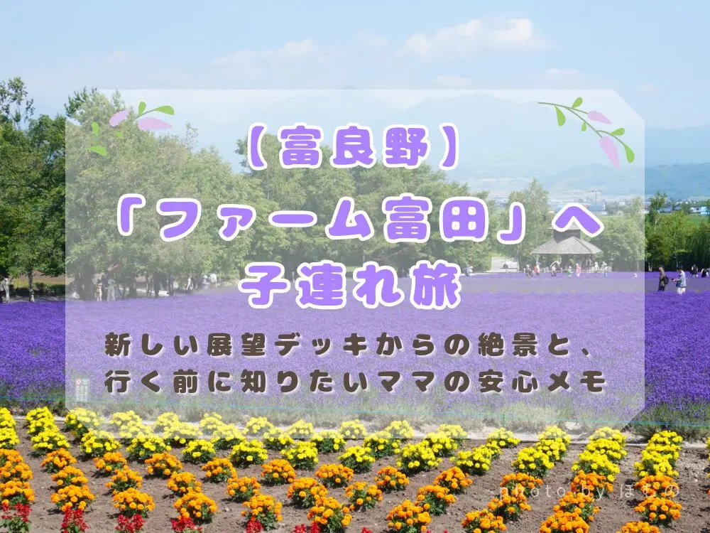 【富良野】「ファーム富田」へ子連れ旅｜新しい展望デッキからの絶景と、行く前に知りたいママの安心メモ