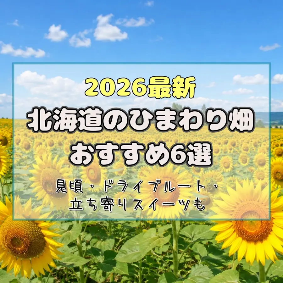 【2026最新】北海道のひまわり畑おすすめ6選！見頃・ドライブルート・立ち寄りスイーツも【絶景スポット】