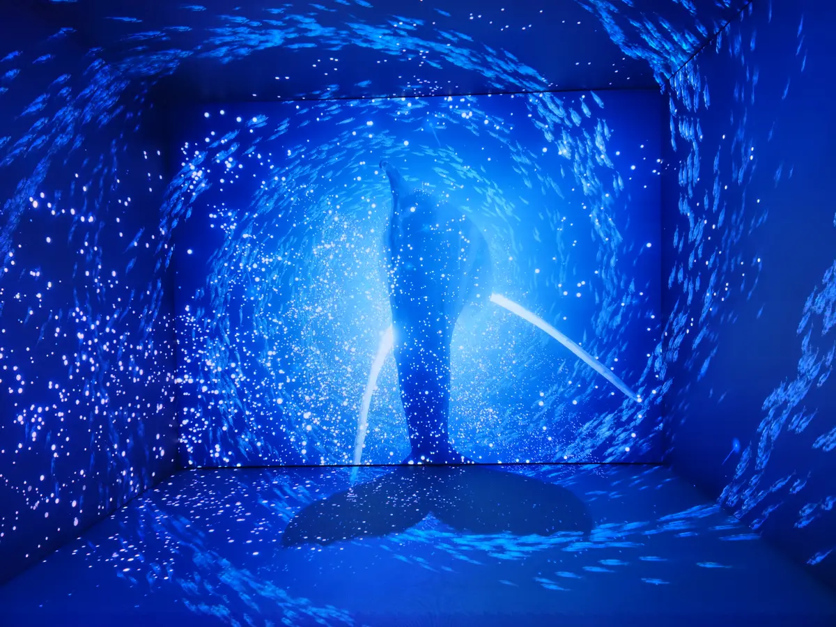 【登別】水族館「登別マリンパークニクス」2026夏〜初秋の見どころ｜新感覚の映像体験やイワシのパフォーマンスも