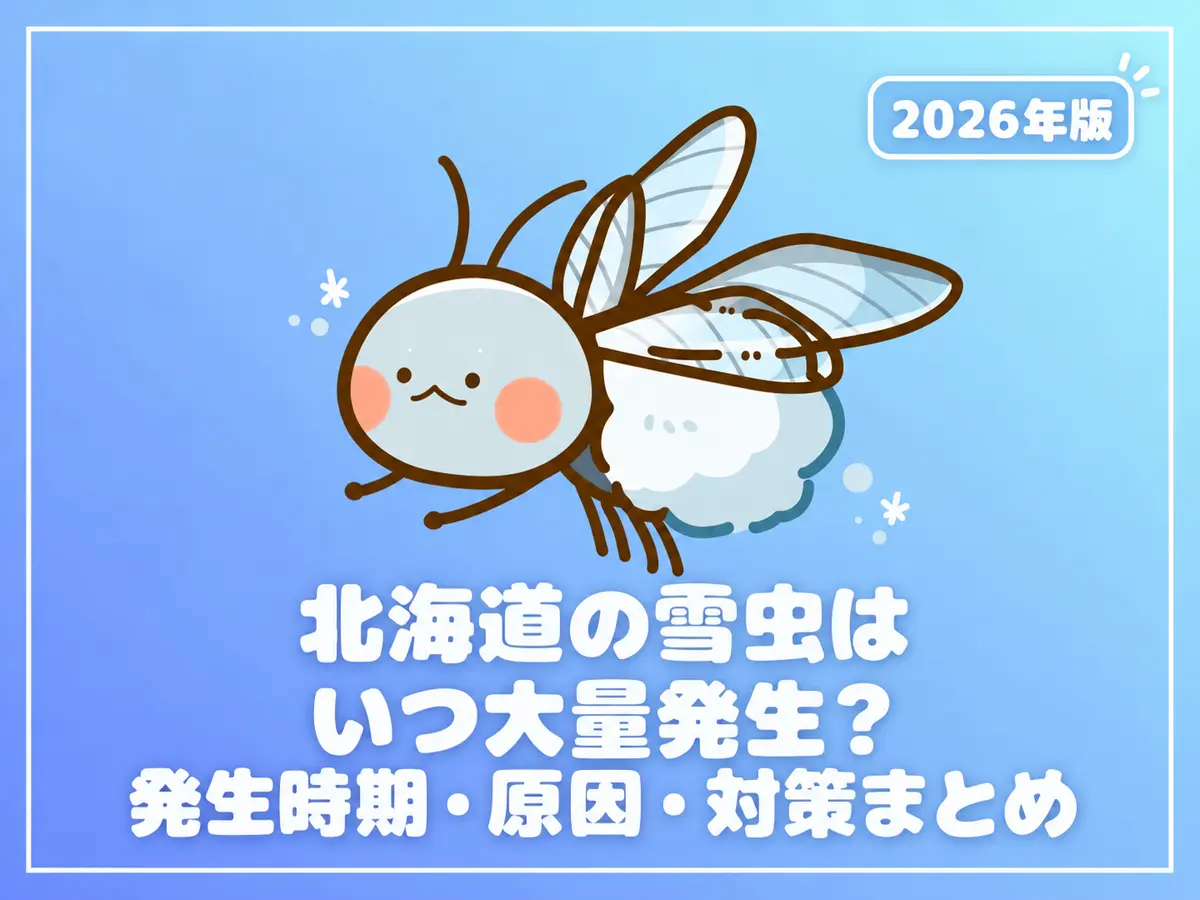 【2026年版】北海道の雪虫はいつ大量発生？発生時期・原因・対策まとめ
