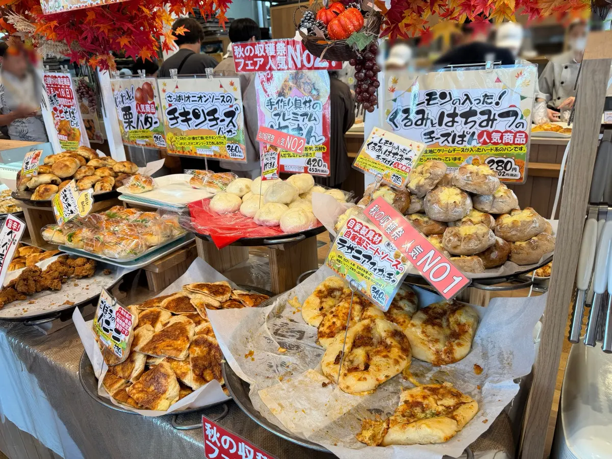 【札幌・どんぐり本店】移転後の新店舗へ！テラス席で味わうおすすめパン＆子連れ・駐車場情報