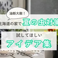 北海道の家も油断大敵！夏の虫対策に試してほしいアイデア集