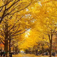 札幌から1時間で行ける秋の紅葉スポット2024 | MouLa HOKKAIDO