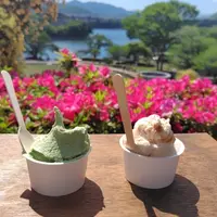 6日間限定！大丸 札幌店で夏のアイス＆スイーツフェアおすすめの4店ご紹介 | MouLa HOKKAIDO