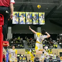 【イエスタ通信 Vol.1｜北海道イエロースターズとは？SVリーグ参入も決定した札幌の男子プロバレーボールチームを紹介 | MouLa HOKKAIDO