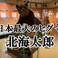 【苫前町】三毛別羆事件の資料や日本最大のヒグマのはく製を展示「苫前町郷土資料館」