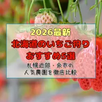 【2026最新】北海道のいちご狩りおすすめ5選！札幌近郊・余市の人気農園を徹底比較 | MouLa HOKKAIDO