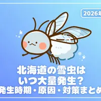 【2026年版】北海道の雪虫はいつ大量発生？発生時期・原因・対策まとめ | MouLa HOKKAIDO