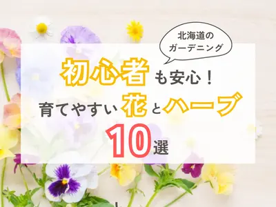 【北海道のガーデニング】初心者も安心！育てやすい花とハーブ10選&育てるコツ