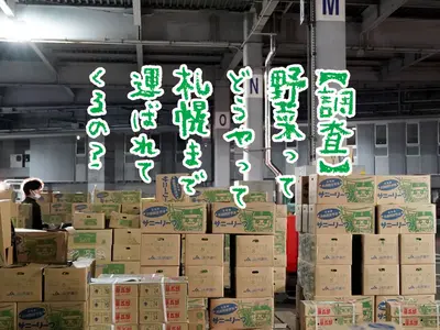 【調査】北海道産野菜が札幌に運ばれるまで