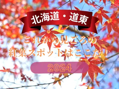 【道東】北海道 これから見ごろの紅葉スポットはここだ！2024