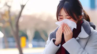 【2025年版】北海道でも花粉症が!? 今つらい「シラカバ花粉」とその対策を徹底解説