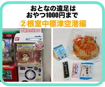 【おとなの遠足②おやつは1000円まで】根室中標津空港編