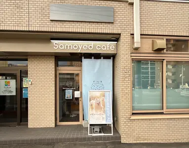 【北海道初上陸！】「サモエドカフェ」で癒しのもふもふ体験