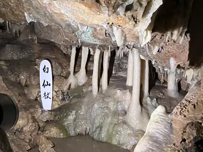 【当麻町】暑い夏は「当麻鍾乳洞」で冷え冷え〈ナイトツアー予約受付中〉
