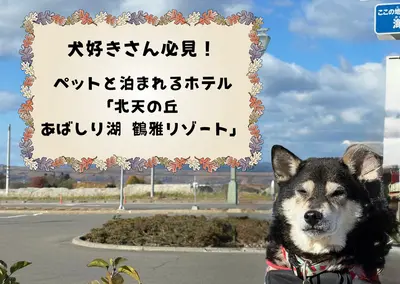 【北海道・網走】北天の丘 あばしり湖 鶴雅リゾート｜ペットと泊まれる人気ホテル