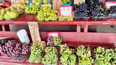 旬のフルーツ直売所！増毛町の果樹園を訪問してみた