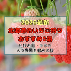 【2026最新】北海道のいちご狩りおすすめ5選！札幌近郊・余市の人気農園を徹底比較