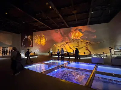 【2026リニューアル】むかわ町穂別恐竜博物館は大人も楽しめる？カムイサウルスなど見どころ5選
