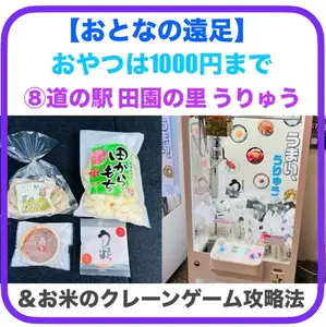 【おとなの遠足】⑧道の駅 田園の里うりゅう編｜おやつは1000円まで＆お米のクレーンゲーム攻略