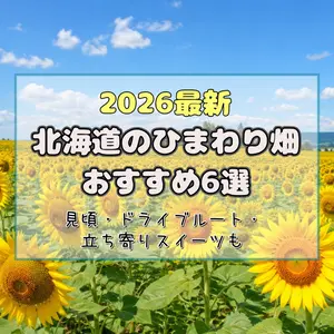 【2026最新】北海道のひまわり畑おすすめ6選！見頃・ドライブルート・立ち寄りスイーツも【絶景スポット】