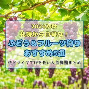 【2026初秋】札幌から日帰り！ぶどう＆フルーツ狩りおすすめ5選｜秋ドライブで行きたい人気農園まとめ