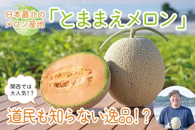 【苫前町】関西のプロが指名買い！日本最北「とままえメロン」の知られざる物語