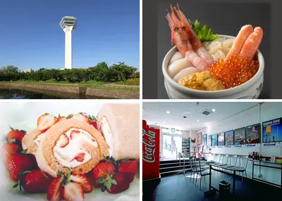 五稜郭タワー・大沼遊船も！函館・大沼観光で使えるお得情報10選