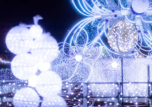 [Odori 3-chome venue] Colorful “Winter Blossoms”