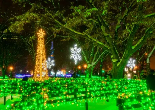 [Odori 6-chome venue] Sparkling “Emerald Forest”