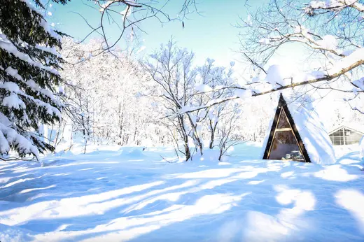 どうせなら、厳寒の北海道下川町でとびきりの冬体験を！