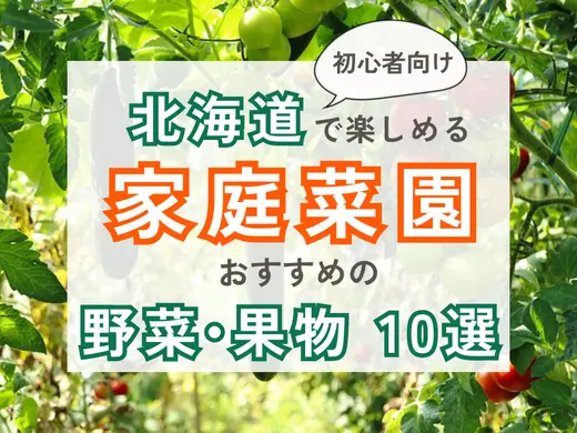 北海道で楽しめる家庭菜園！初心者向けのおすすめ野菜・果物10選