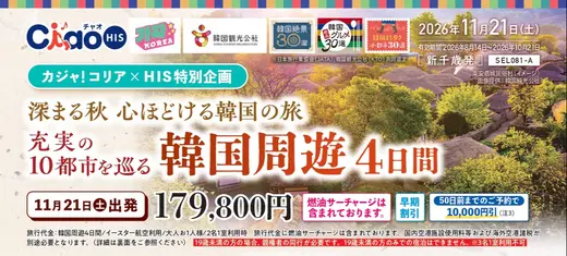 【１１月連休出発！】充実の１０都市を巡る秋の韓国周遊４日間【早期１万円引き】